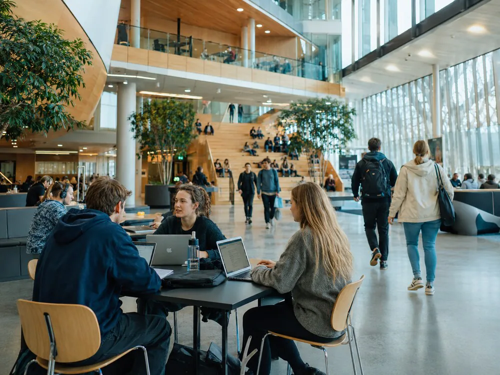 uniwersytety w finlandii